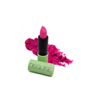 Fuchsia Explorer