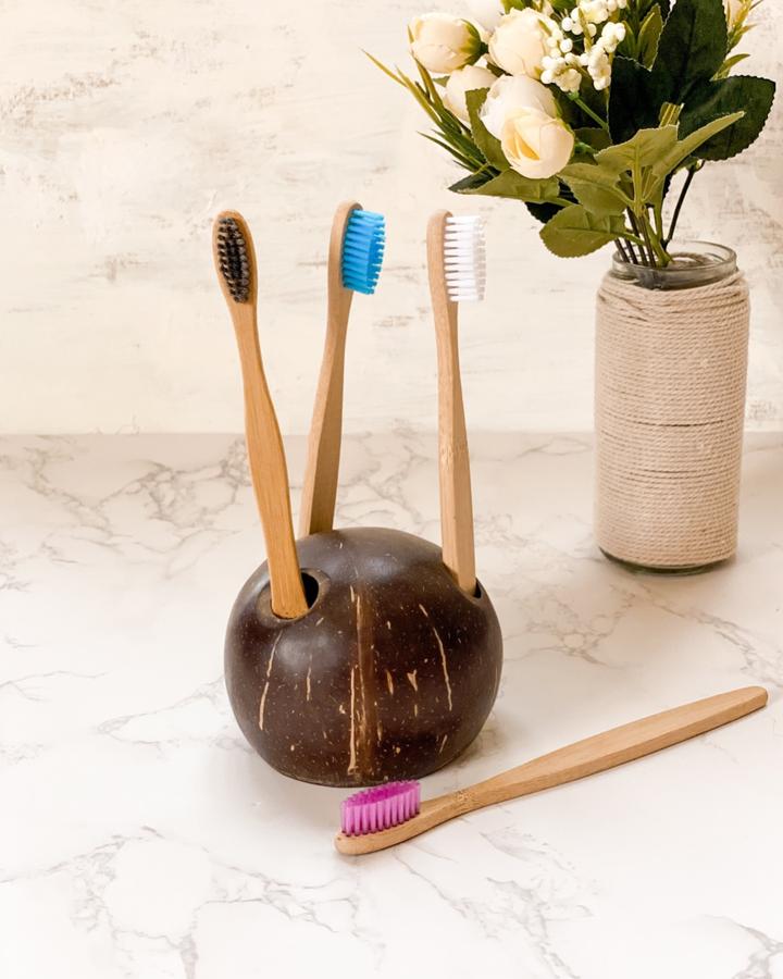 Coconut Shell Toothbrush Holder