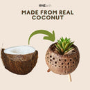 Planter / Tea Light Candle Holder - Coconut Shell