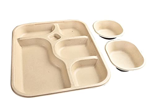 5 Compartment Rectangular Disposable Bagasse Plates Bowls, Party Disposal Thali Brown