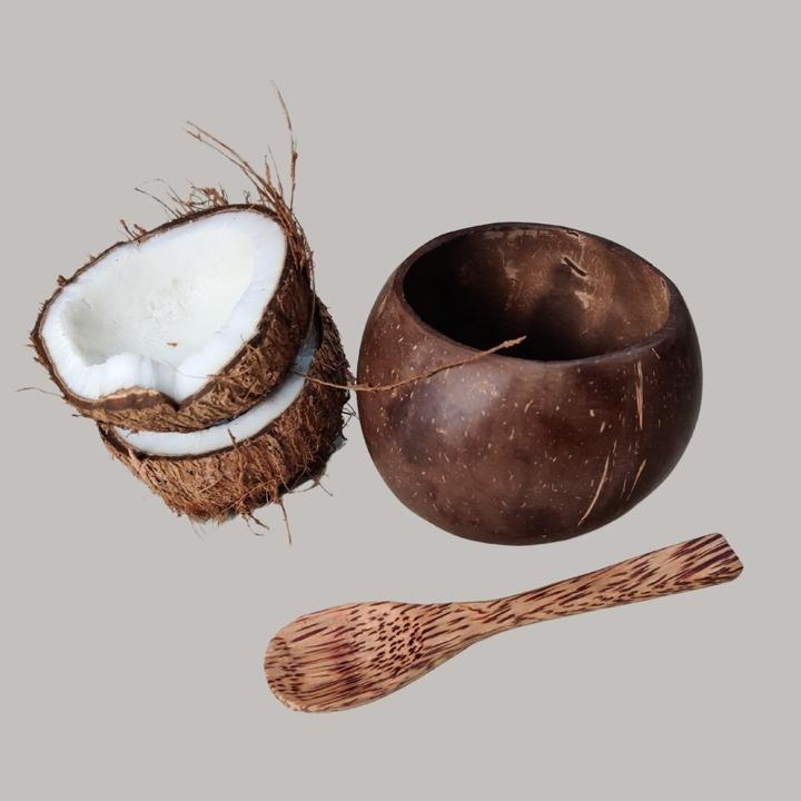 Small Coconut Shell Bowl with spoon