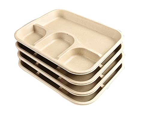 4 Compartment Rectangular Disposable Bagasse Plates Bowls, Party Disposal Thali Brown