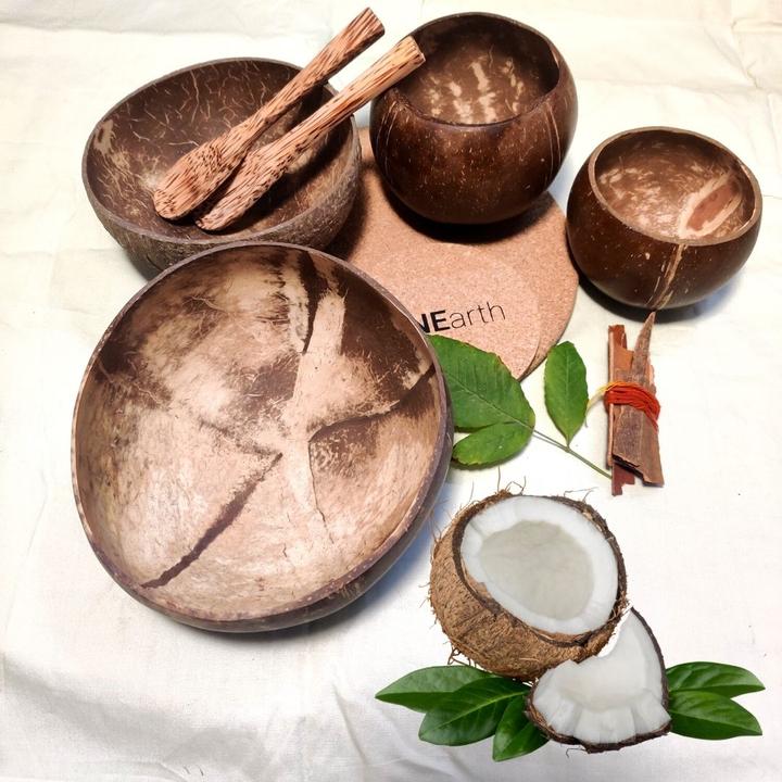 Coconut Shell Bowl - Family Pack