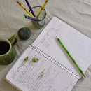 Paper Pencil (Plantable Seed) - Pack of 10