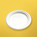 10 Inch Round Disposable Bagasse Plates Bowls Party Disposal, White