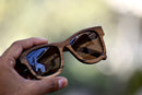 Klik | Wayfarer | Teak Sunglass