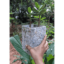 Eco Board Planter - small